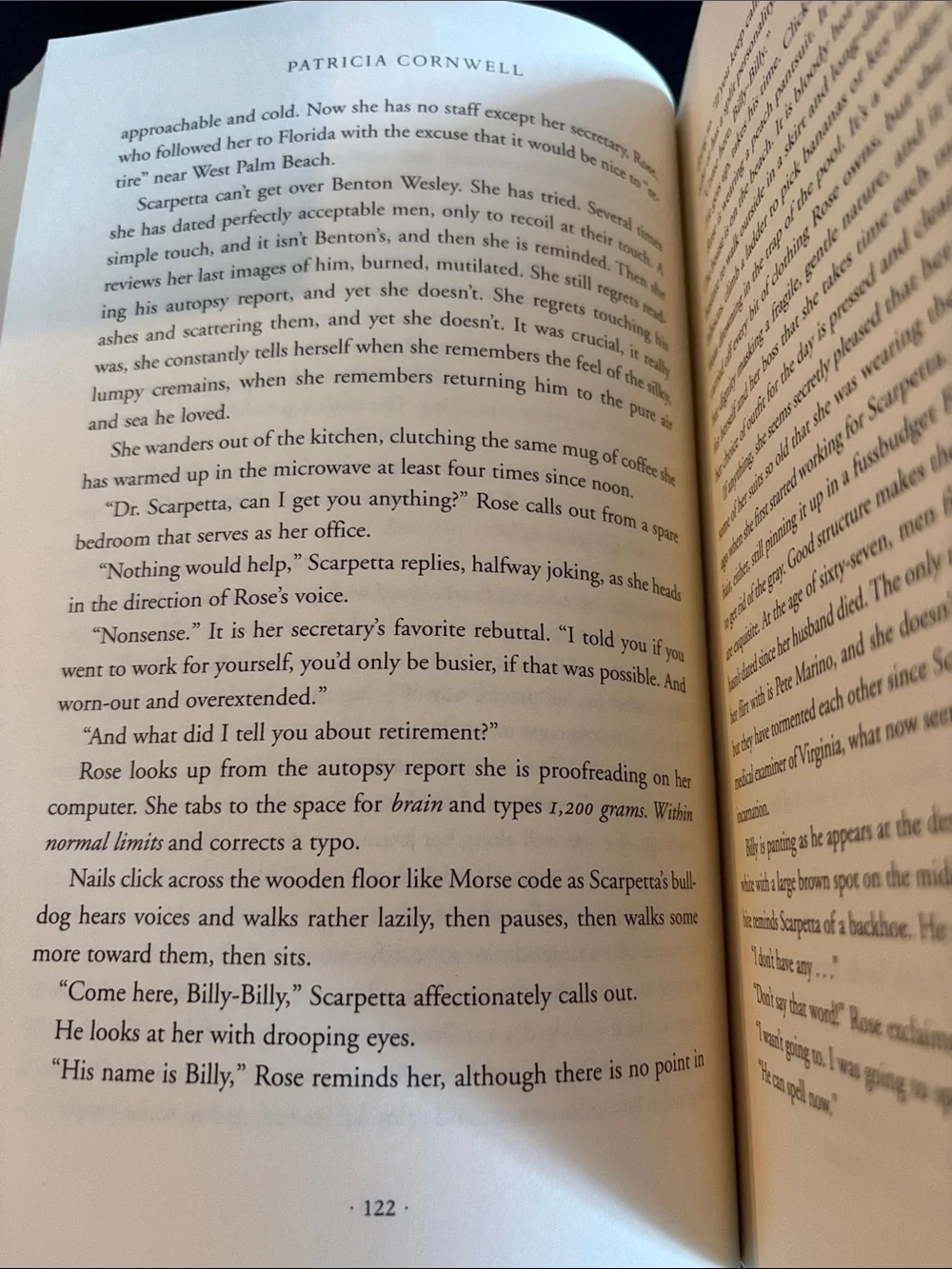 Patricia Cornwell "Blow Fly" Hardcover - Book 12 of 29 Kay Scarpetta Series - Picture 4 of 9